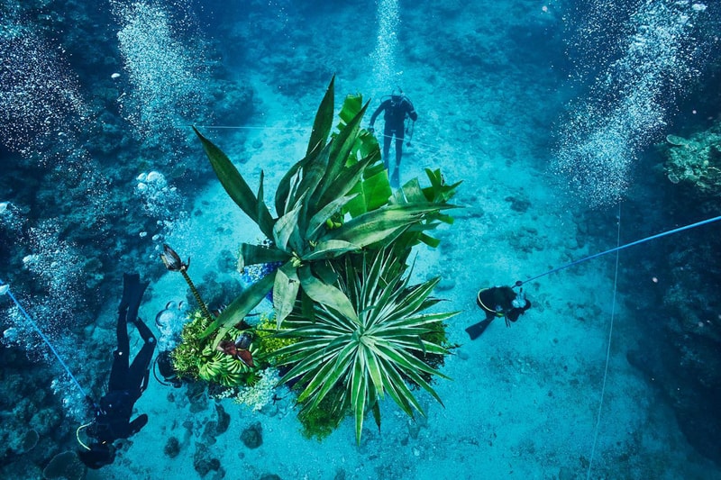 Azuma Makoto Submerges Floral Installation in Uncharted Ocean Waters in bloom artist creative flowers natural world coexist japanese sea nature natural world texture shape color vibrant display installation arrangement