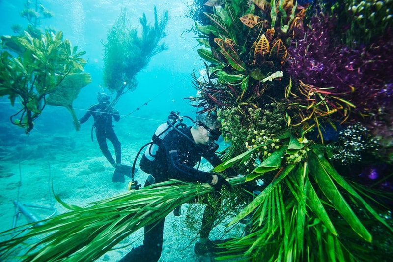 Azuma Makoto Submerges Floral Installation in Uncharted Ocean Waters in bloom artist creative flowers natural world coexist japanese sea nature natural world texture shape color vibrant display installation arrangement