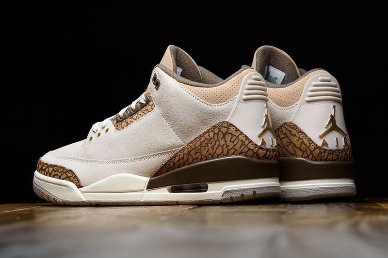 The Air Jordan 3 Palomino