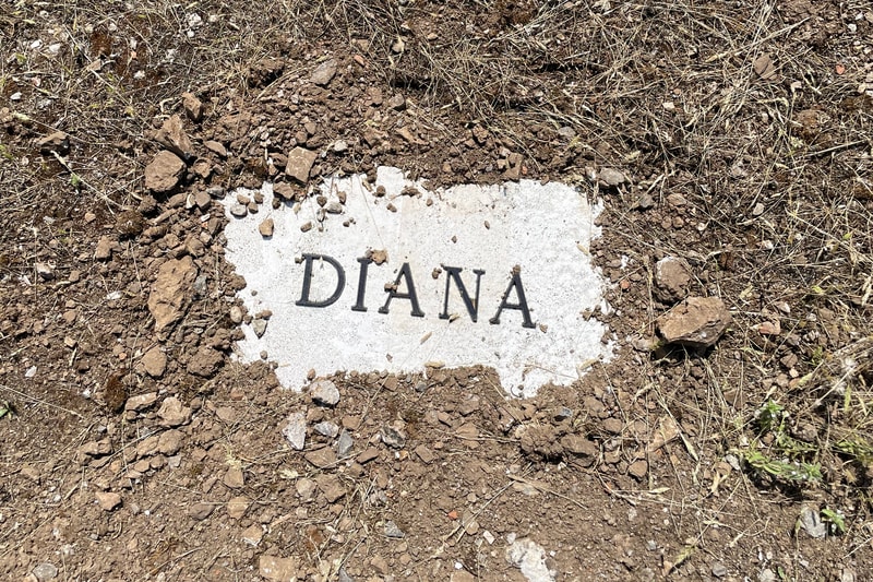 Гипермаремма Терраформа Карл Великий Палестина Ла Феррейра