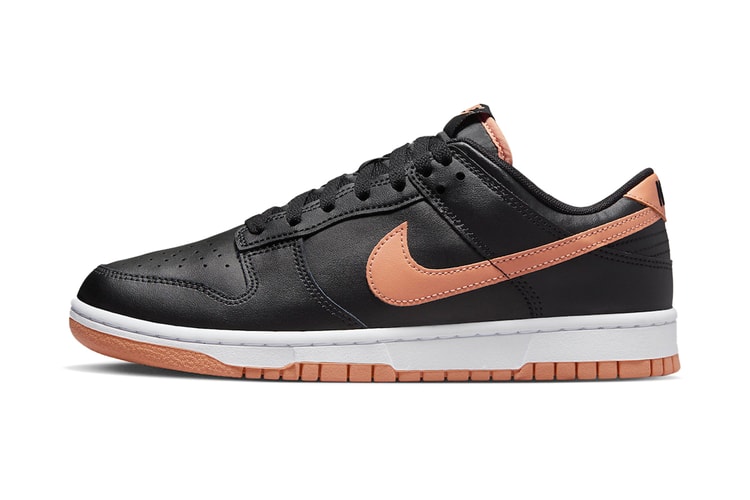 First Look at the Nike Dunk Low "Amber Brown"