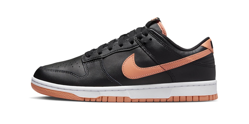 First Look at the Nike Dunk Low "Amber Brown"