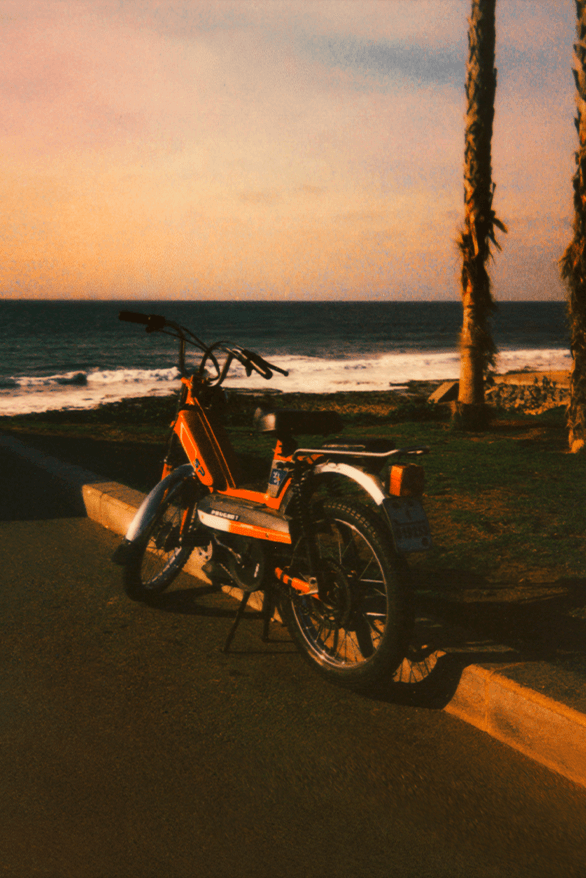 Polaroid Real Life Campaign instant cameras Now Now+ Oskar Smolokowski Karabo Mooki Thalía Gochez Andre D Wagner