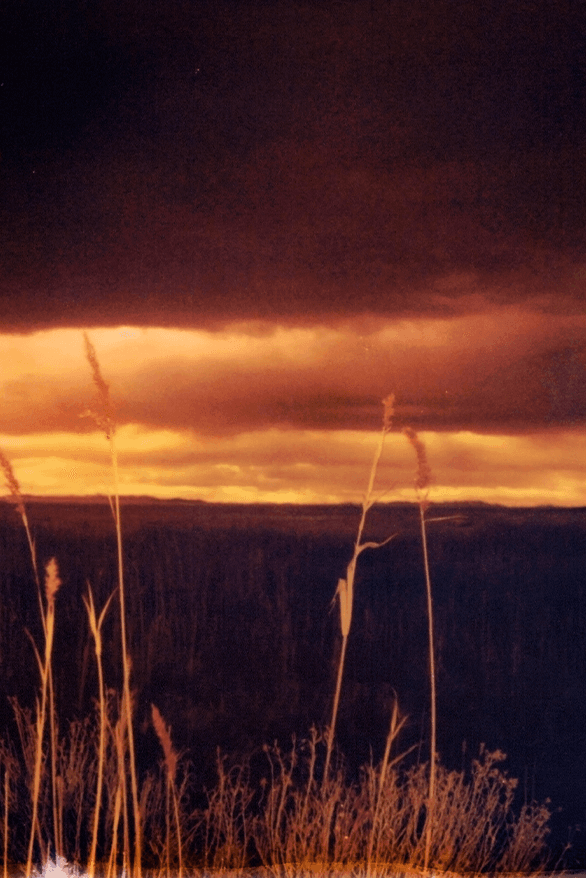 Polaroid Real Life Campaign instant cameras Now Now+ Oskar Smolokowski Karabo Mooki Thalía Gochez Andre D Wagner