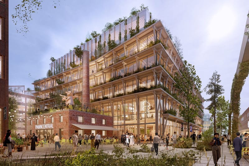 Sweden Is Set To Build the World's Largest Wooden "City"