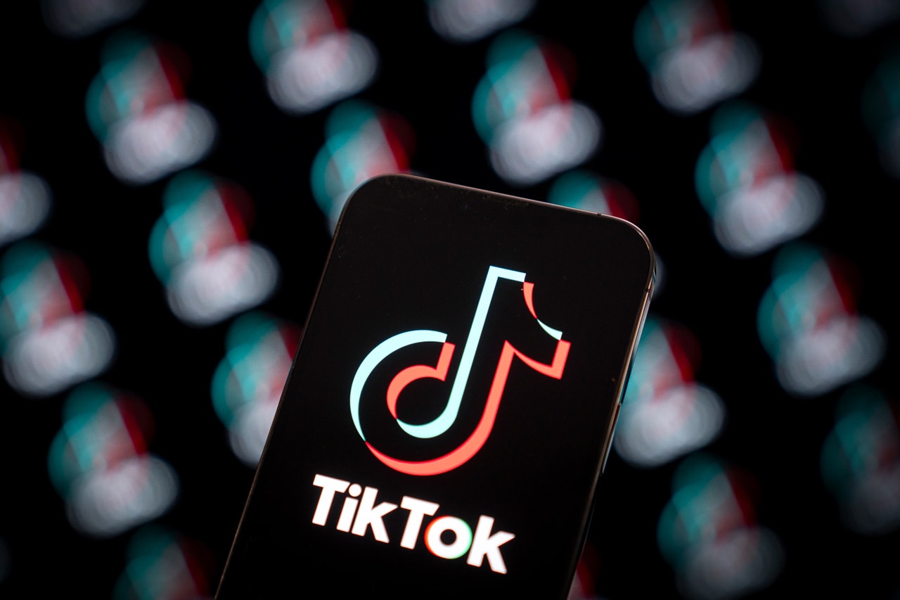 TikTok Launches "Elevate" Music Program emerging aspiring musical artists work directly career chart track album platform concert followers genre style content amplification social accounts