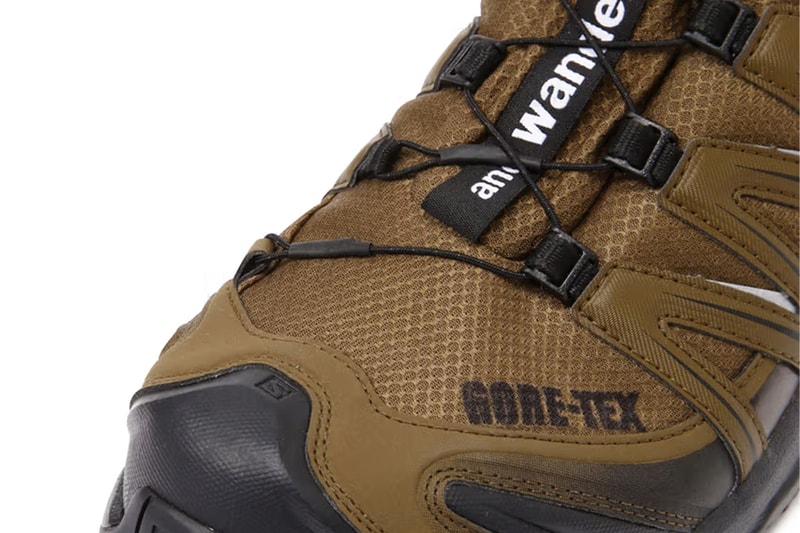 and wander Reunites With Salomon for XA PRO 3D Gore-Tex Sneakers brown and black functional shoe gtx hiking outdoor shoe