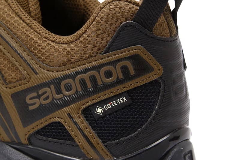 and wander Reunites With Salomon for XA PRO 3D Gore-Tex Sneakers brown and black functional shoe gtx hiking outdoor shoe