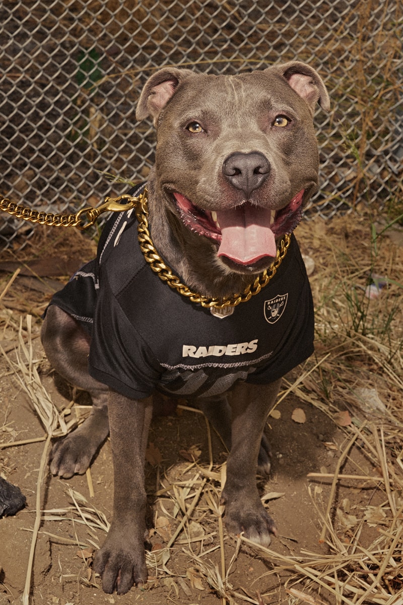 NFL Las Vegas Raiders Mesh Jersey for Dogs in 2023