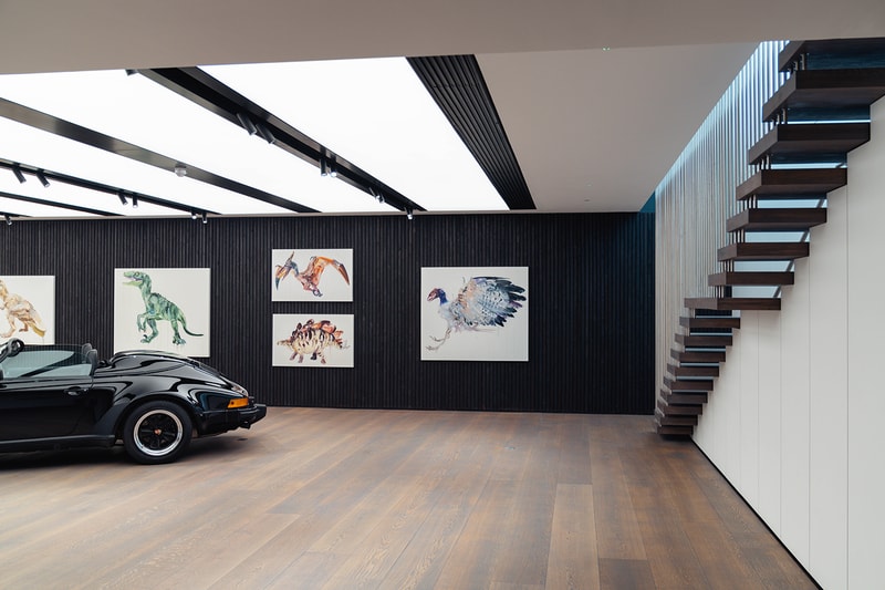 Dave White "Extinct" Series Kiklo Spaces Info