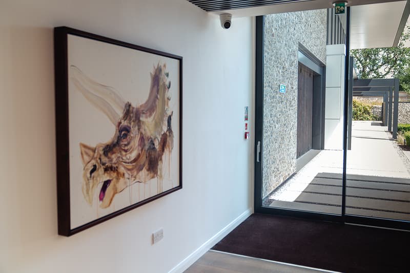 Dave White "Extinct" Series Kiklo Spaces Info