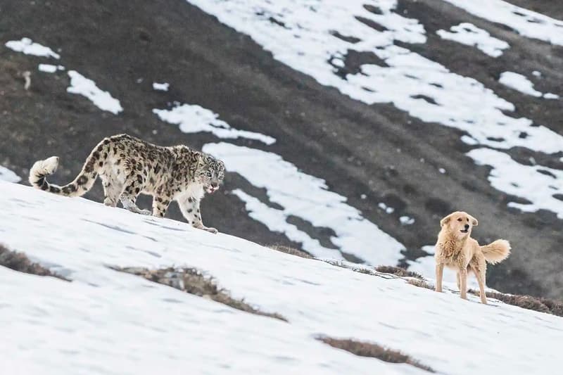 Nature inFocus 2023 Photography Award Winners Art