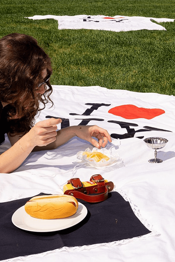 Nik Bentel New York City Picnic Series big apple artist meal hotdog Coca Cola pizza bag holder