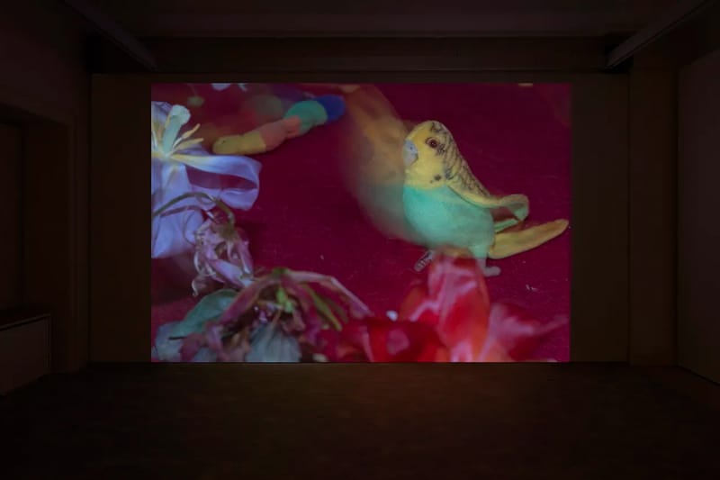 Rachel Rose Presents 'Good Morning Midnight' at GL Strand in Copenhagen