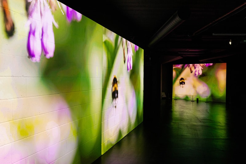 Treatment Reframe: The Residency Exhibition Southbank