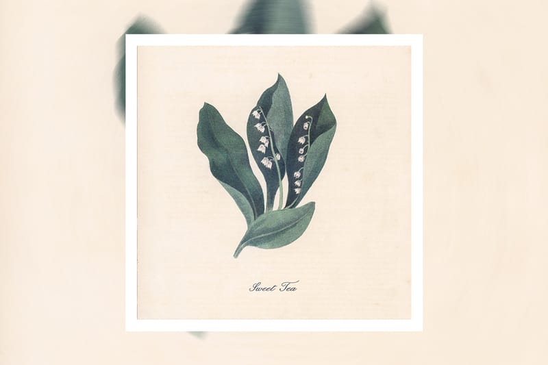 Snoh Aalegra Delivers "Sweet Tea"