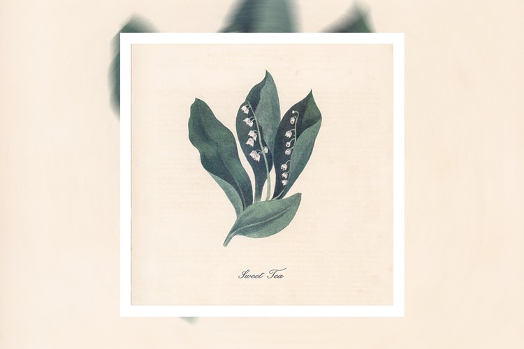 Snoh Aalegra Delivers "Sweet Tea"