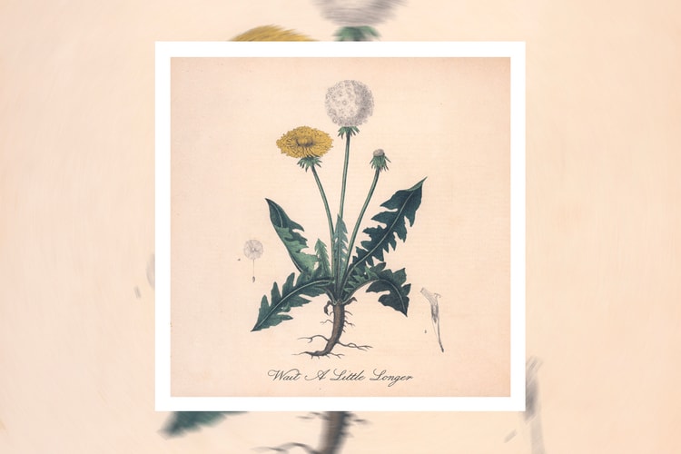 Snoh Aalegra Mourns Lost Love on New Single “Wait A Little Longer”