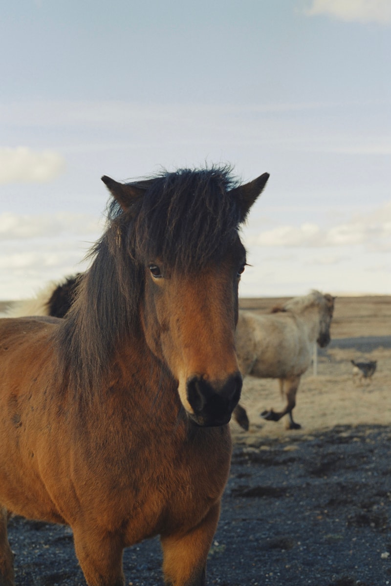 A Kind of Guise Explores Icelandic Folklore With FW23 Campaign Fashion