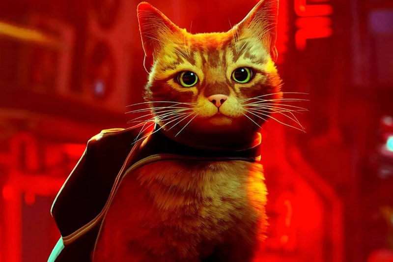 Cats': Everything to Know About the Film Adaptation