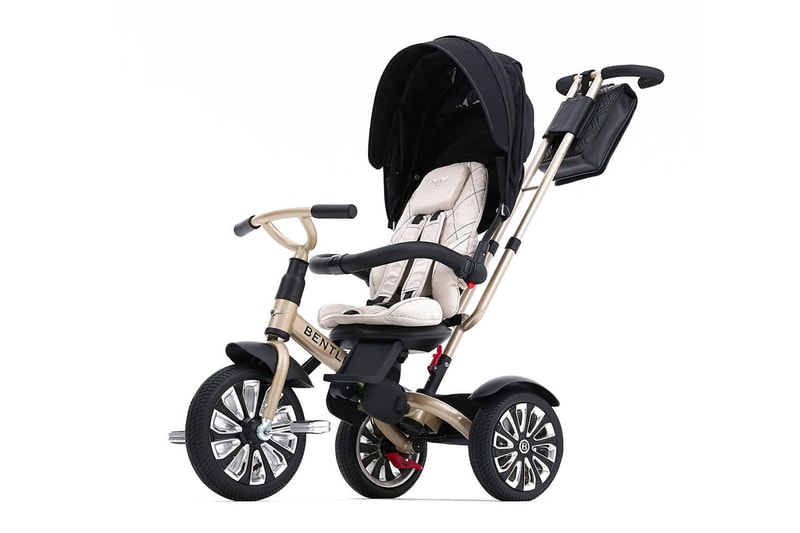 The Bentley 6-in-1 Stroller/Trike – BentleyTrike