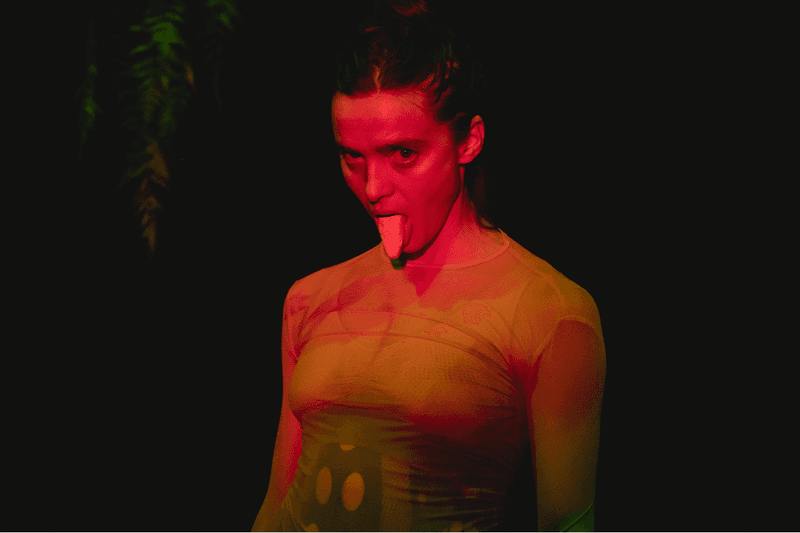 Gucci Prospettive 1 Photography Book Sabato De Sarno Spring Summer 2024 womenswear menswear Milano Ancora