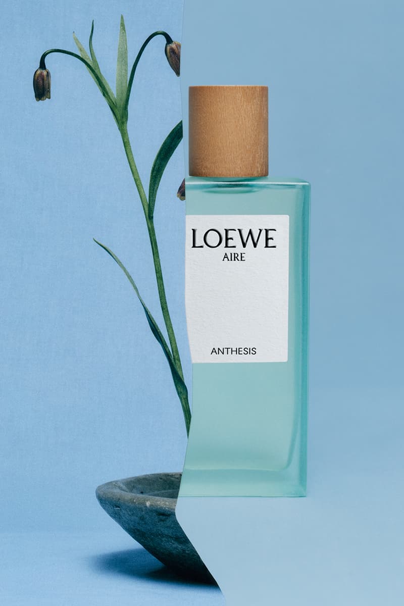 loewe perfumes botanical rainbow 2023 collection scent fragrance aire anthesis madrid collection official release date info photos price store list buying guide