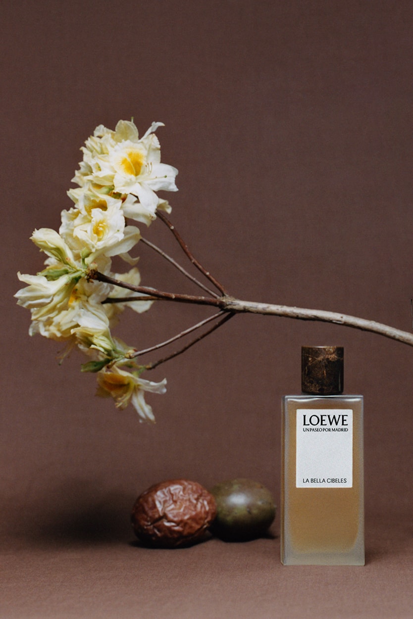 loewe perfumes botanical rainbow 2023 collection scent fragrance aire anthesis madrid collection official release date info photos price store list buying guide