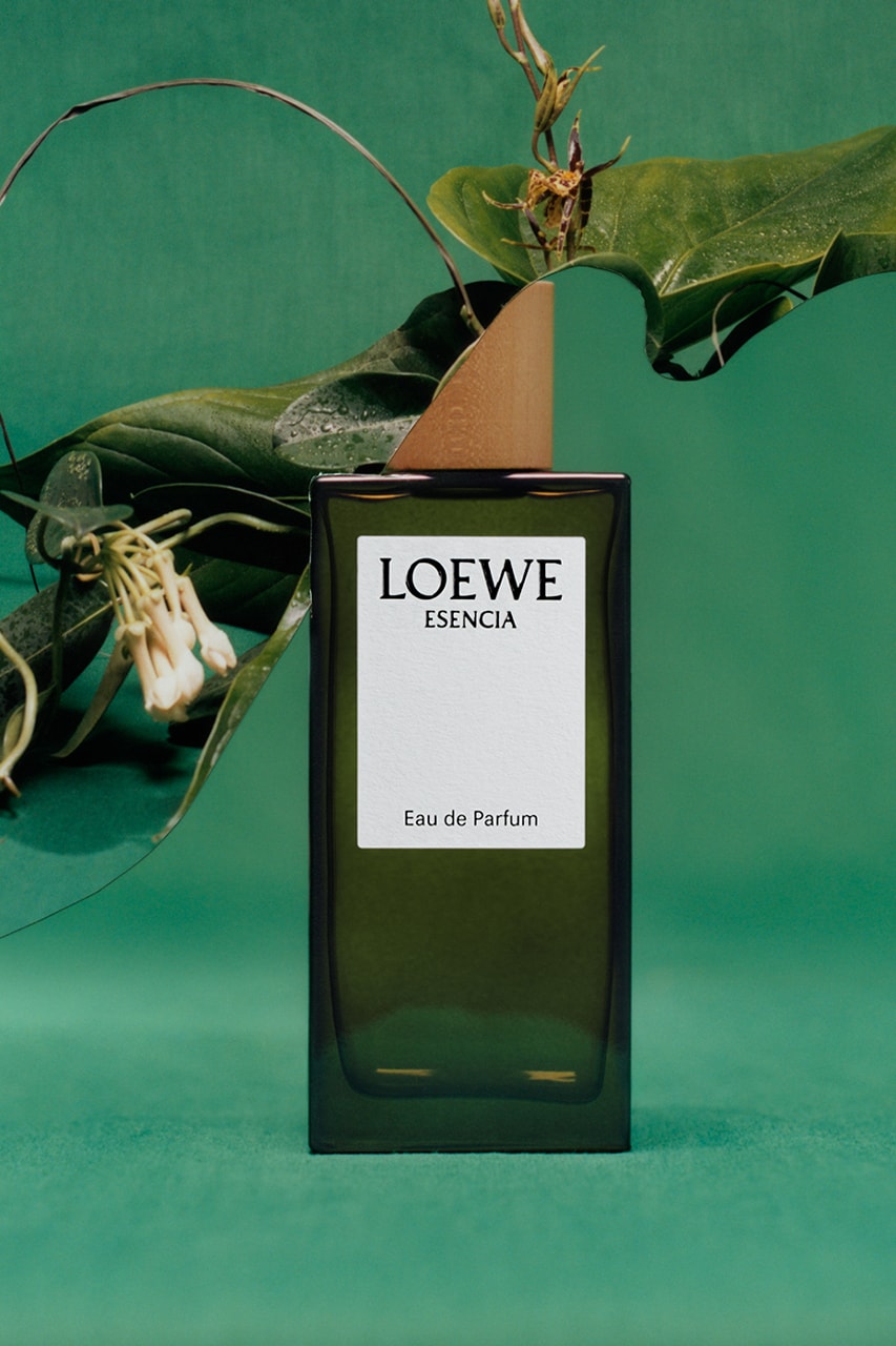loewe perfumes botanical rainbow 2023 collection scent fragrance aire anthesis madrid collection official release date info photos price store list buying guide