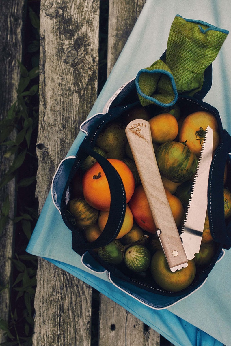 Niwaki Fruit Knife