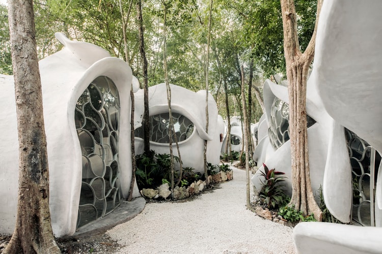 AI Meets Mayan Jungle Art in SFER IK's $100,000 USD Challenge