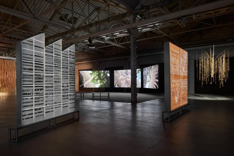 Thao Nguyen Phan Reincarnations of Shadows Pirelli