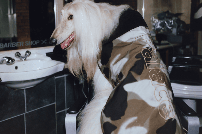 Barbour Palace Skateboards Winter 2023 Collaboration London uk menswear womenswear dog streetwear