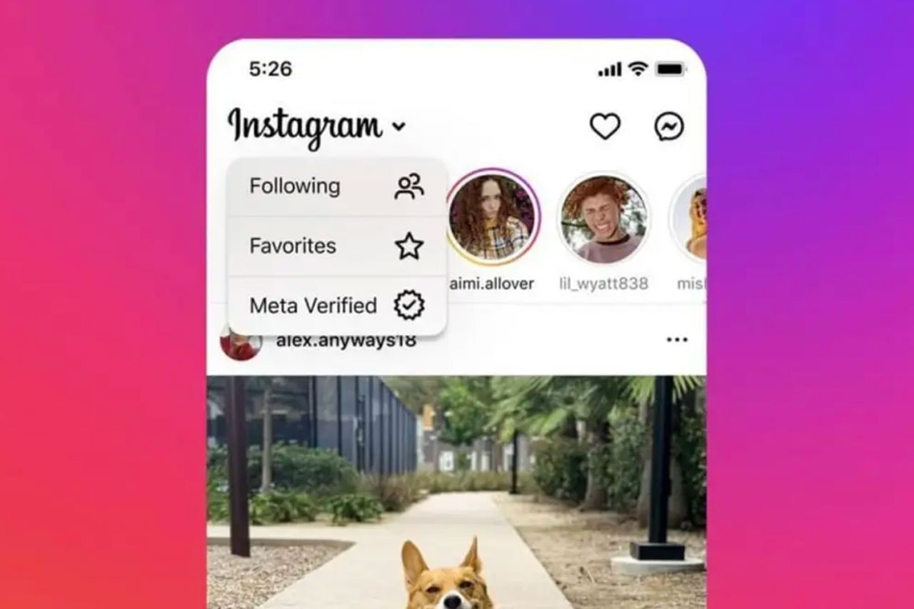 Instagram Meta Verified User Feed Test Info