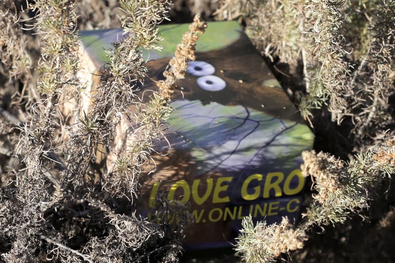 Hodinkee x G SHOCK x Online Ceramics x John Mayer Collab Info