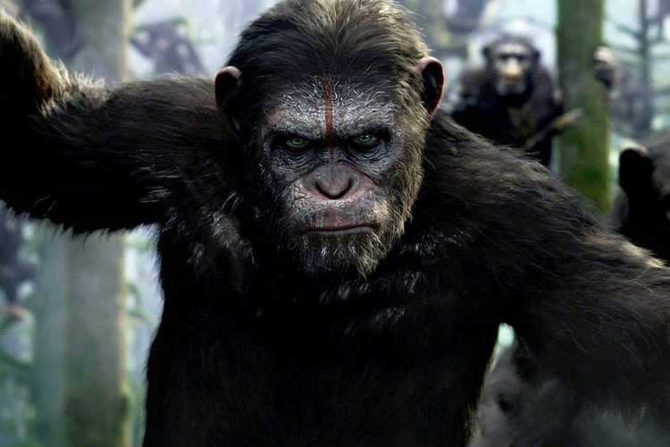 'Kingdom of the Planet of the Apes' Trailer Teases the Beginning of a New Apocalyptic Chapter