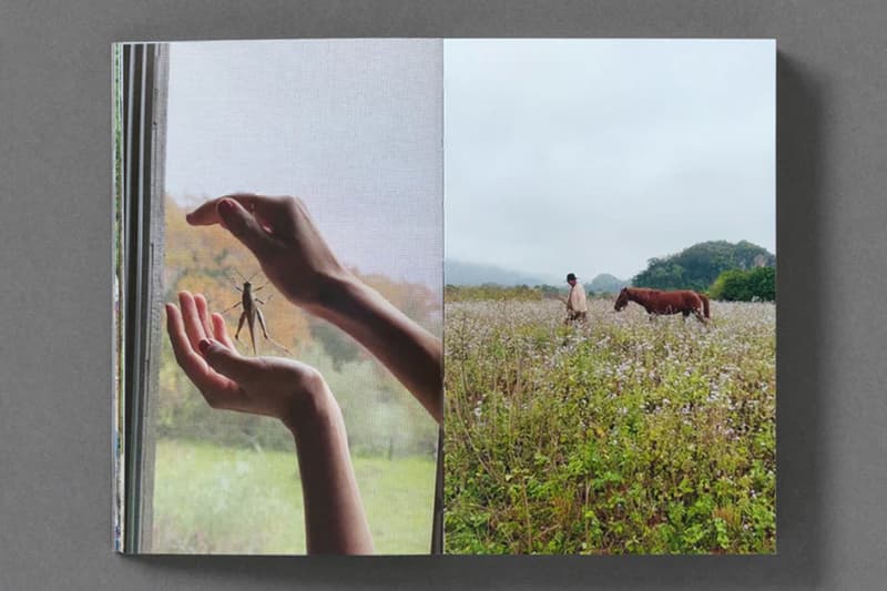 Sam Youkilis Book Somewhere 2017-2023 Loose Joints