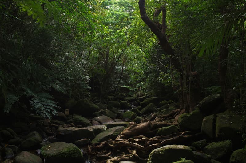 Okinawa is Japan’s Newest Cultural Hotspot: Travel Guide 