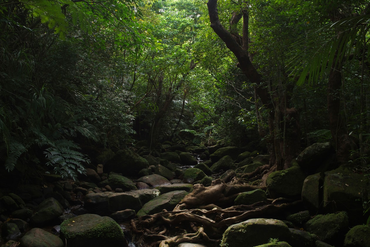 Okinawa is Japan’s Newest Cultural Hotspot: Travel Guide 