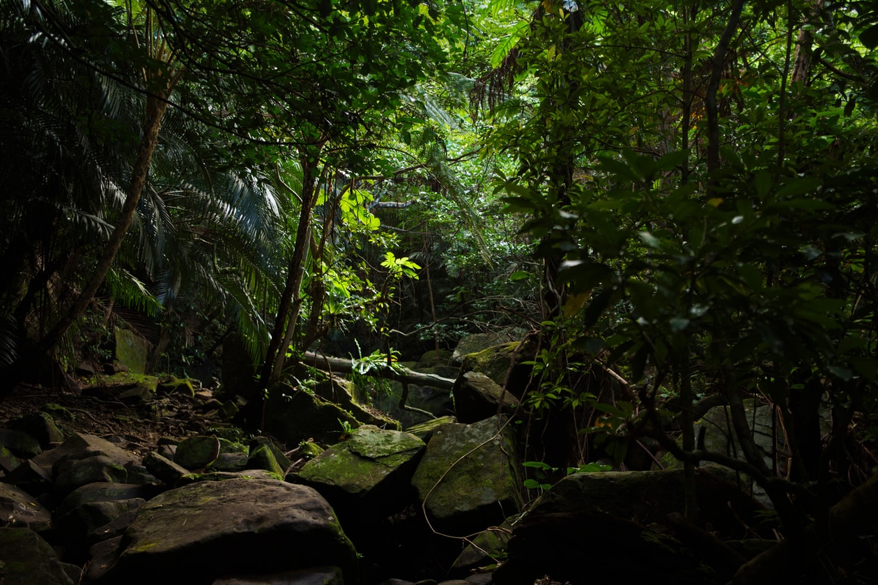 Okinawa is Japan’s Newest Cultural Hotspot: Travel Guide