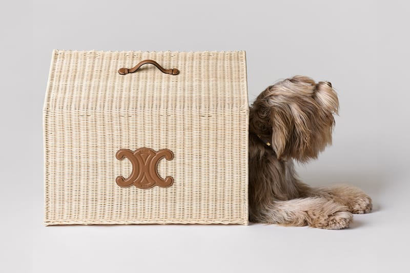 CELINE Unveils Luxurious Collection of Dog Accessories