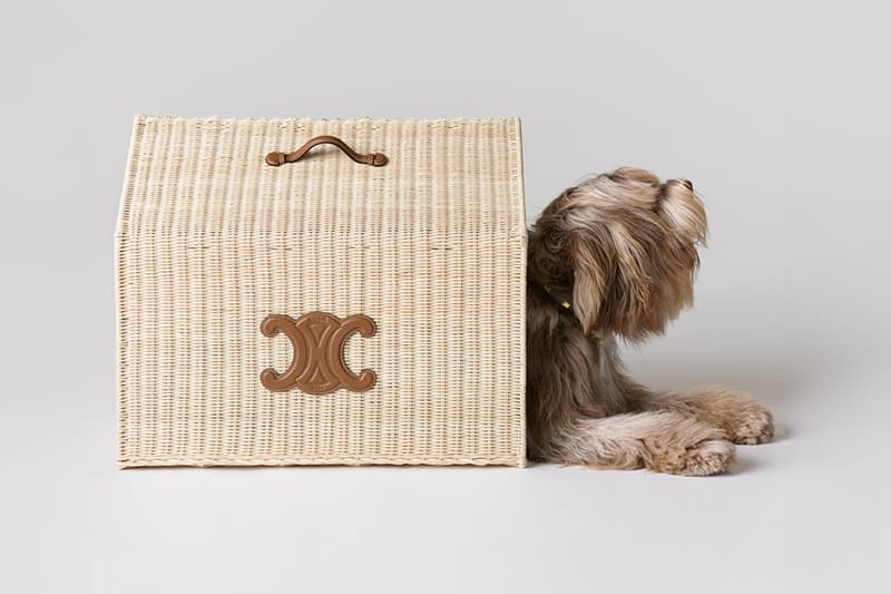 Celine Dog Accessories Campaign Release info