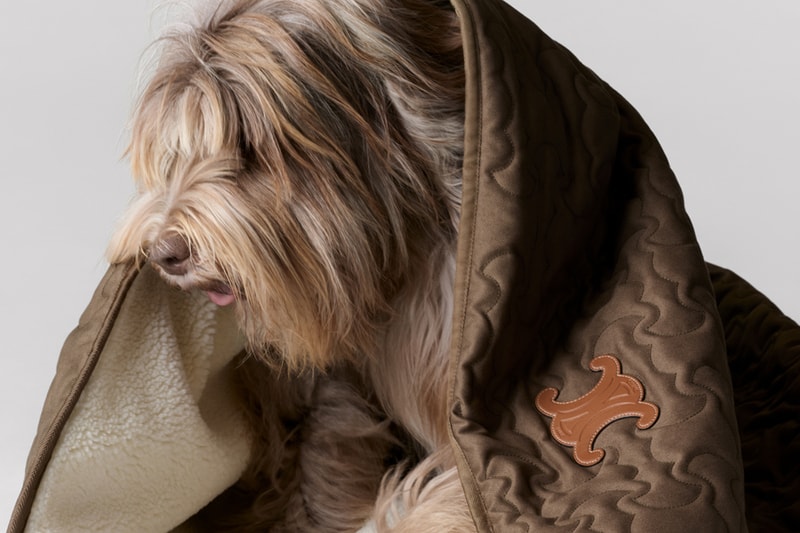 Celine Dog Accessories Campaign Release info