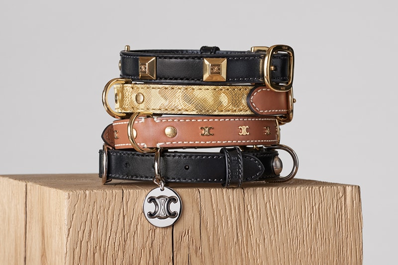 Celine Dog Accessories Campaign Release info