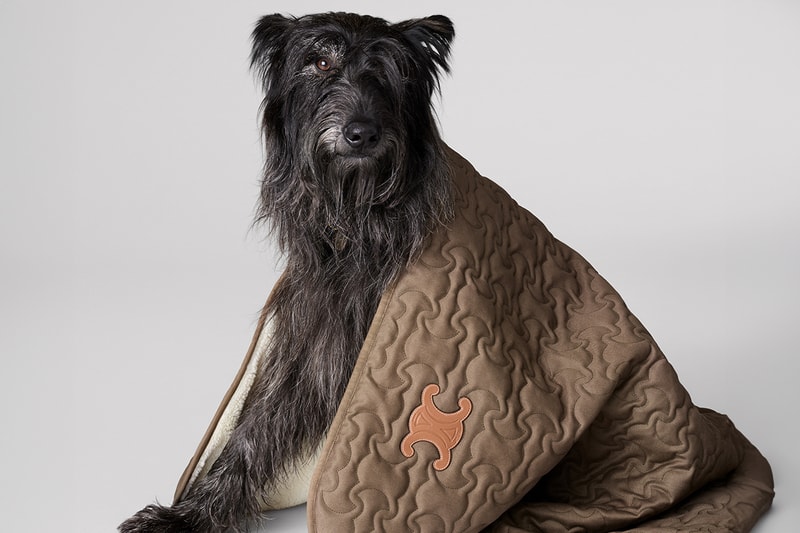 Celine Dog Accessories Campaign Release info