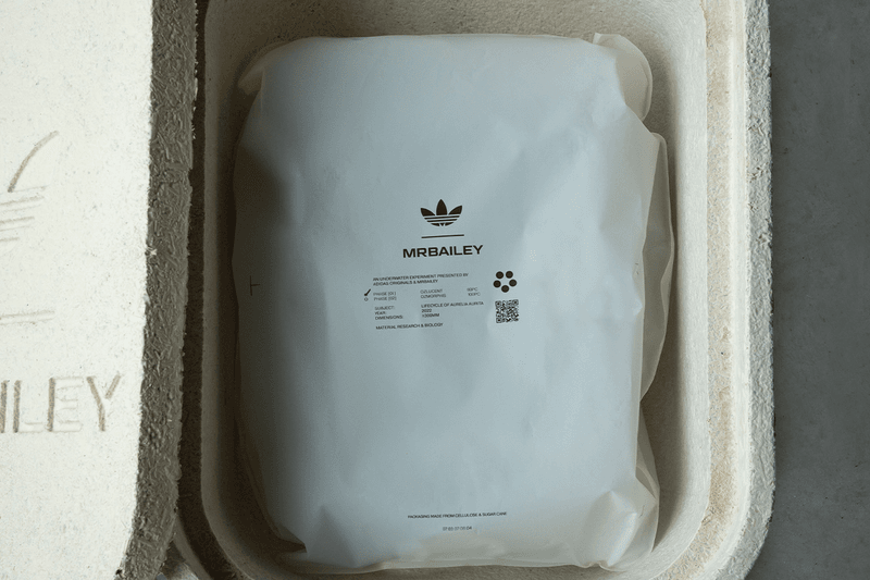 MRBAILEY Friends and Family Adidas originals OZLUCENT Sothebys auction