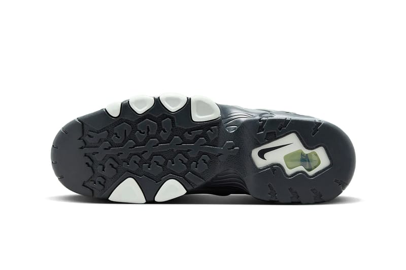 grey charles barkley