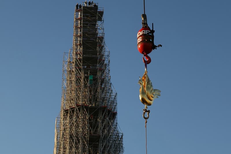 Notre Dame Paris Cathedral Golden Rooster Phoenix