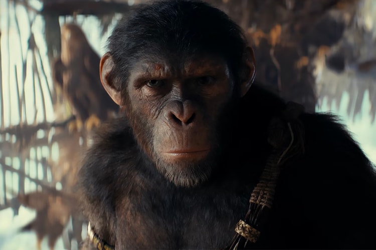 La bande-annonce officielle du Royaume de la planète des singes montre un Proximus tyrannique