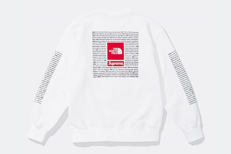 Supreme x The North Face Spring 2024 Collection lookbooks Taped Seam Shell Jacket, Nuptse Jacket, 6-Panel and Waist Bag 
